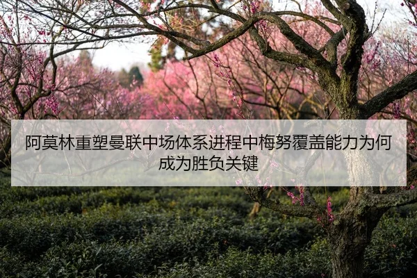 阿莫林重塑曼联中场体系进程中梅努覆盖能力为何成为胜负关键 | Jinbo Sports
